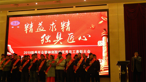 z6尊龙股份2019年度新春年会暨优秀员工表彰大会圆满召开